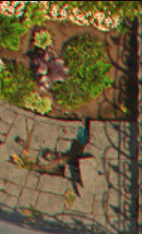 IMG_1996.jpeg
